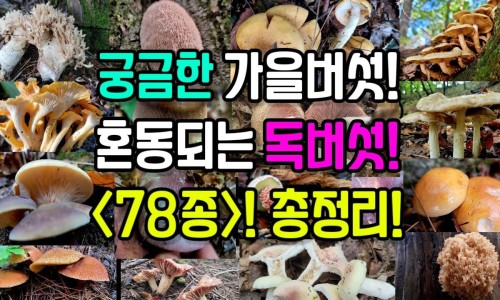 权威哺乳期是否能够接种流感疫苗针平台,分享专业哺乳期是否能够接种流感疫苗呢知识_哺乳期是否能够接种流感疫苗网